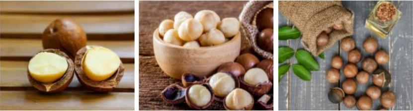 Nueces de macadamia