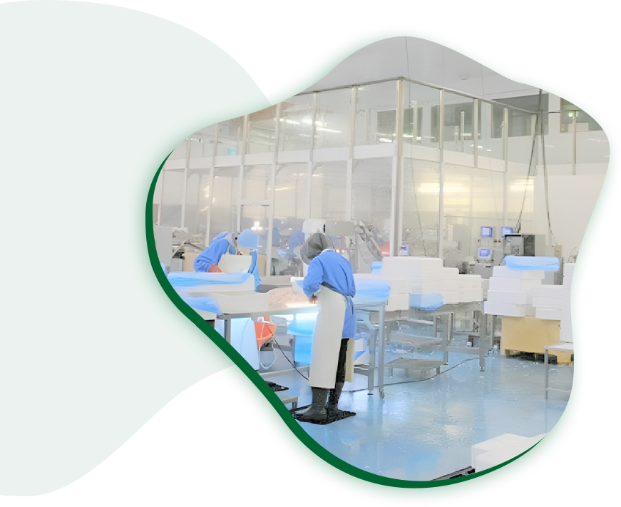 Fabricante de alimentos de grado de seguridad profesional