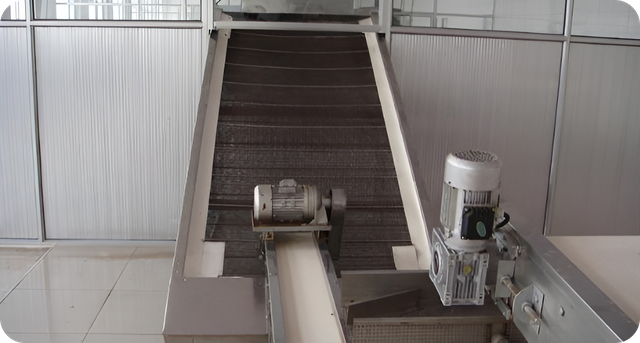 Instalación de fabricación de frutas de maní y secas