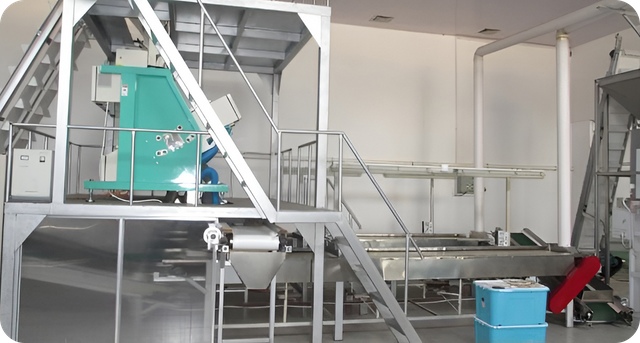 Instalación de fabricación de frutas de maní y secas