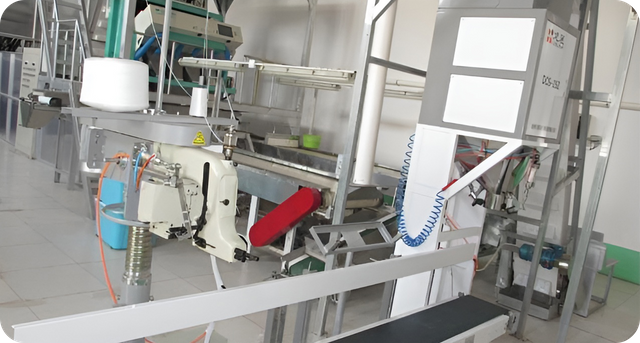 Instalación de fabricación de frutas de maní y secas
