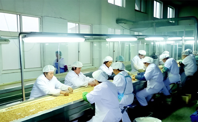 Proceso de fabricación de frutas de maní, macadamia y secas