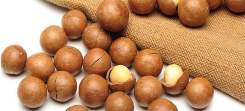 Nueces de macadamia